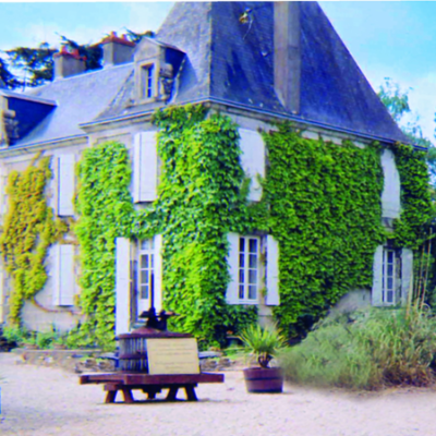 Image1 Image1